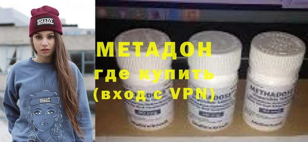 прущие грибы Новозыбков