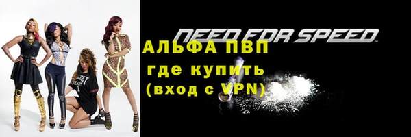 дурь Богданович