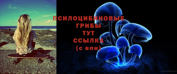 мдма Богородицк