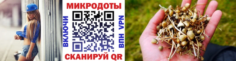 Галлюциногенные грибы ЛСД  купить   Бокситогорск 